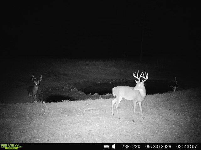 Photo 2 - Land for sale – 000  76-126   Norwood, MO