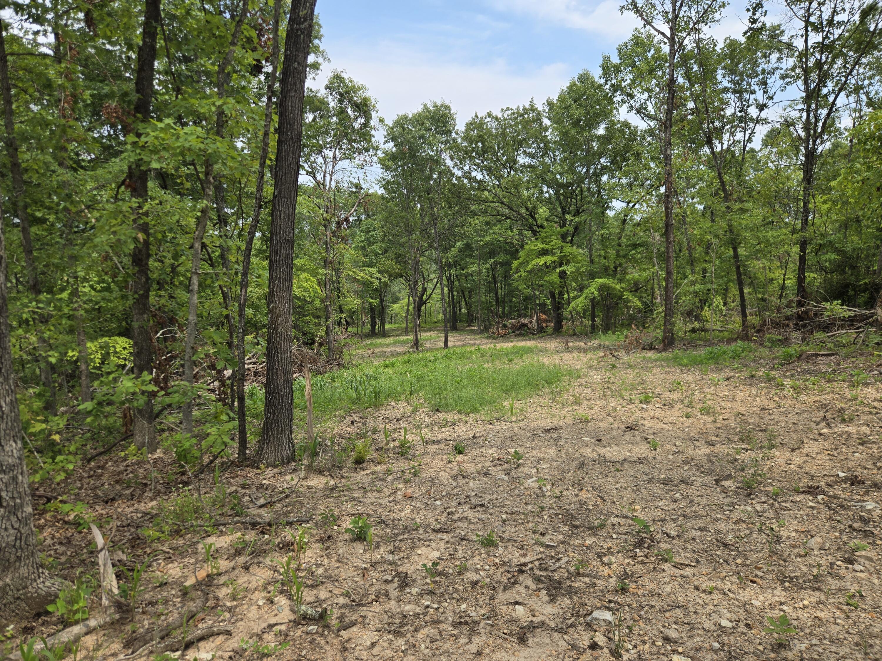 Photo 31 - Land for sale – 000  76-126   Norwood, MO
