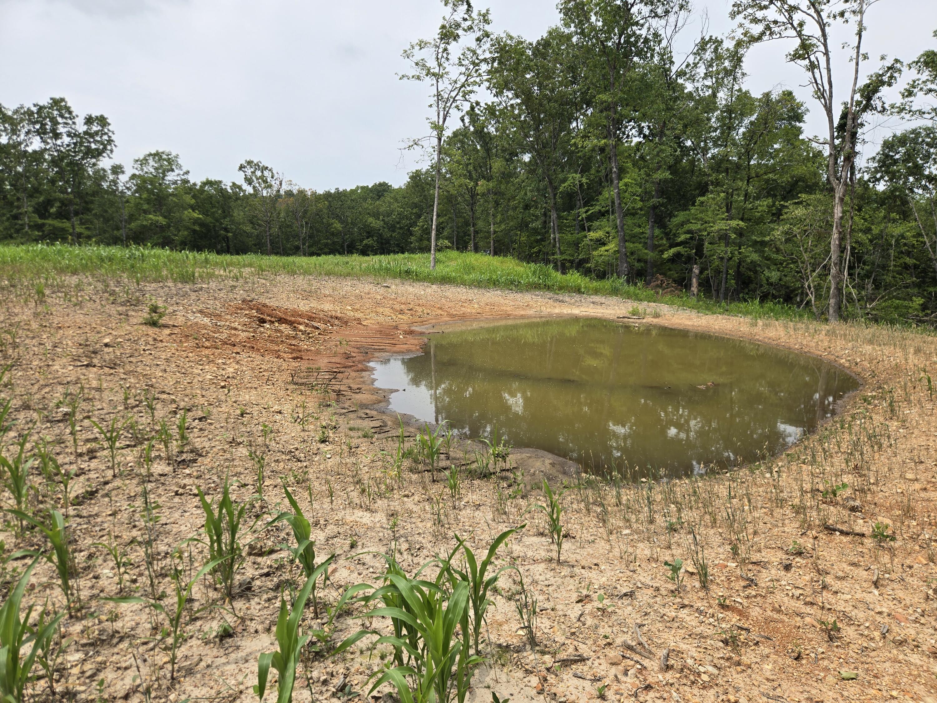 Photo 34 - Land for sale – 000  76-126   Norwood, MO