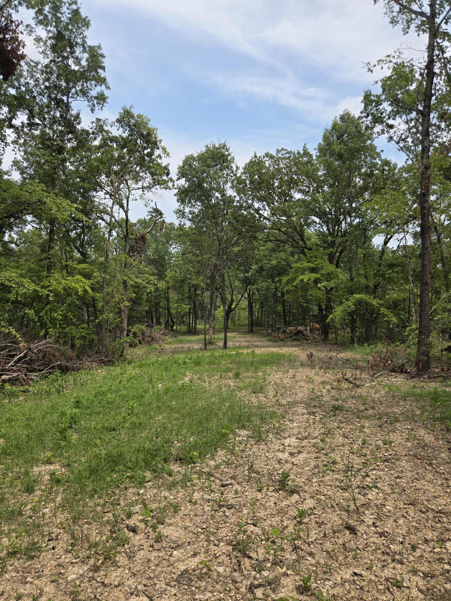 Photo 30 - Land for sale – 000  76-126   Norwood, MO