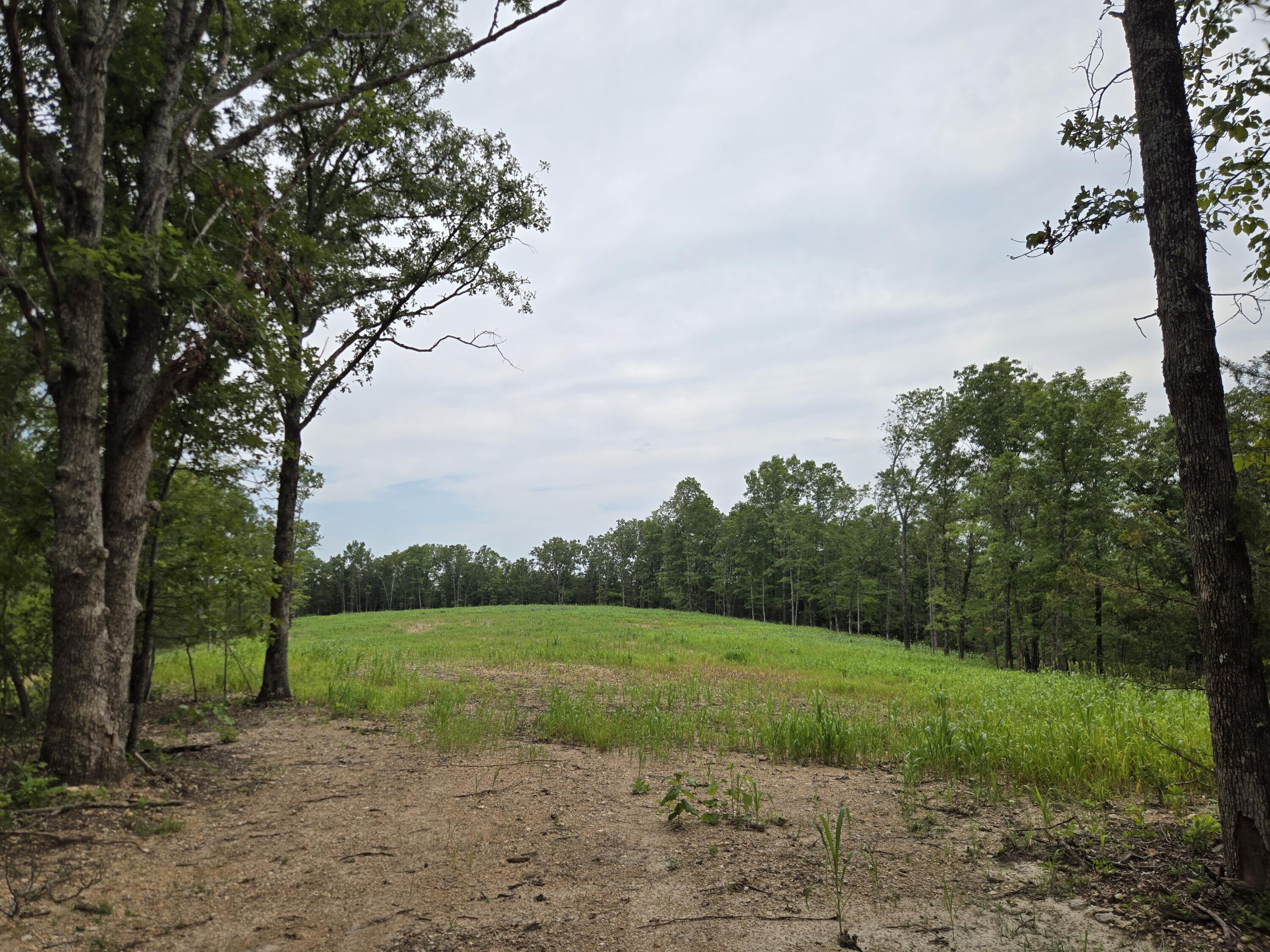 Photo 7 - Land for sale – 000  76-126   Norwood, MO