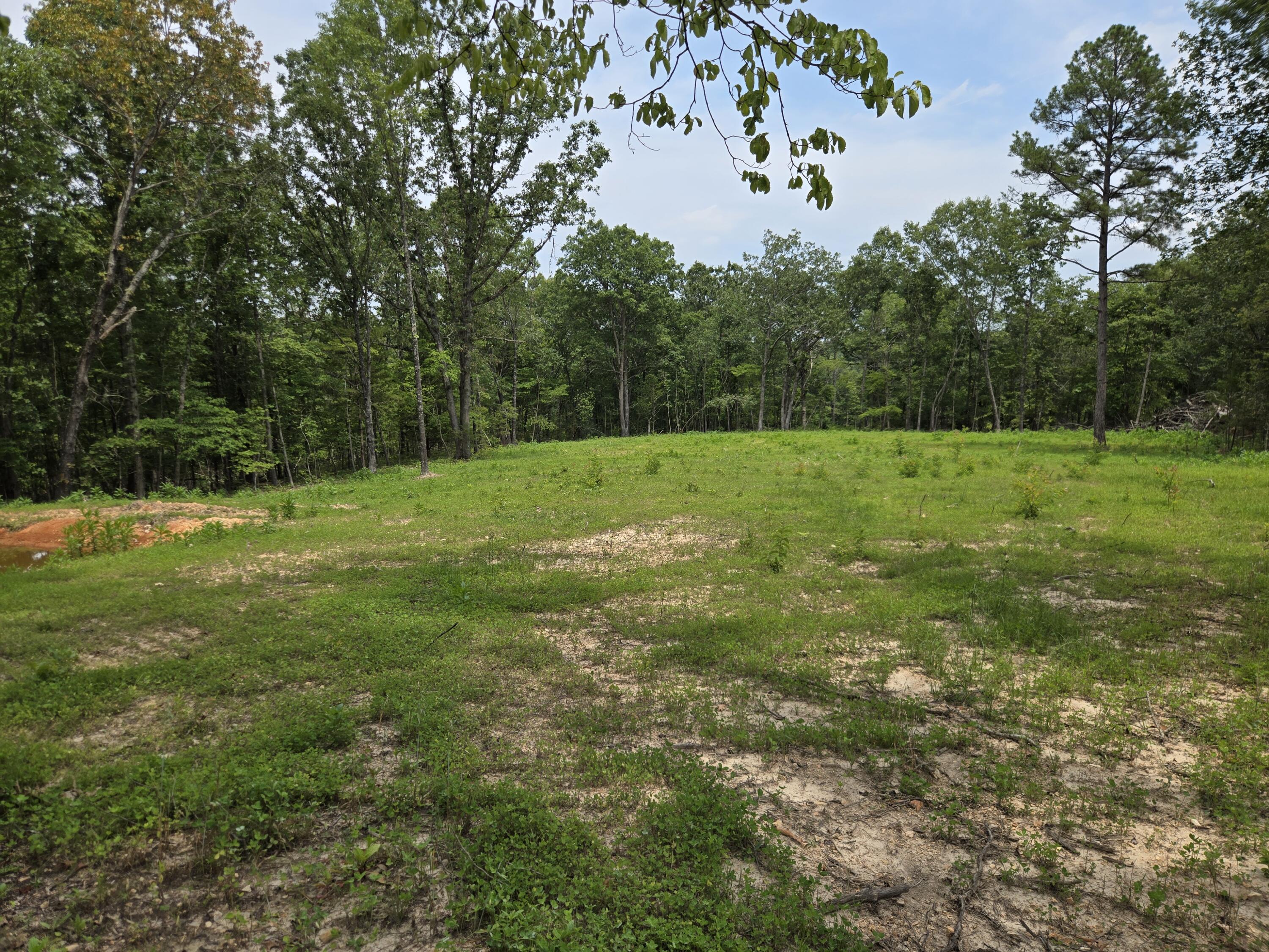 Photo 25 - Land for sale – 000  76-126   Norwood, MO
