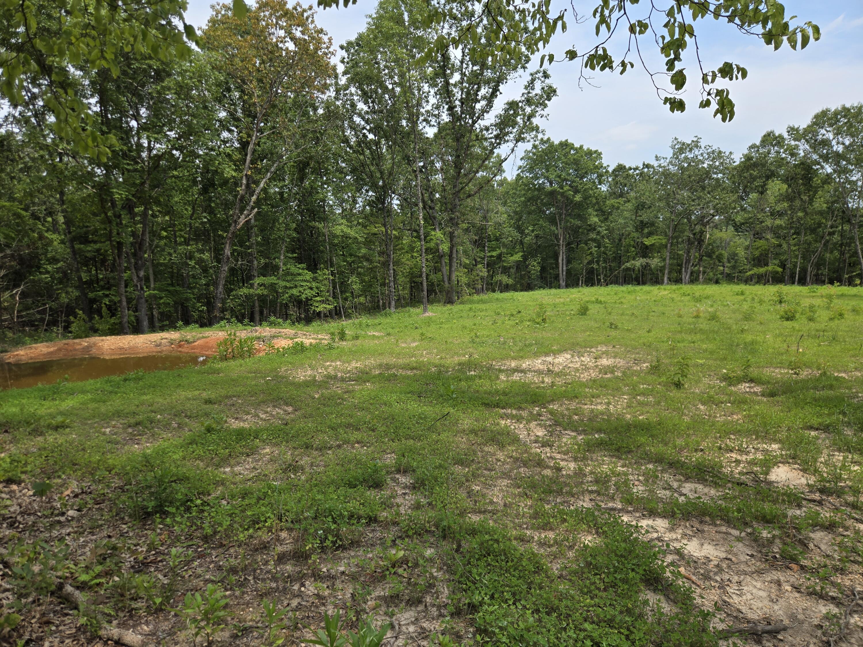 Photo 24 - Land for sale – 000  76-126   Norwood, MO