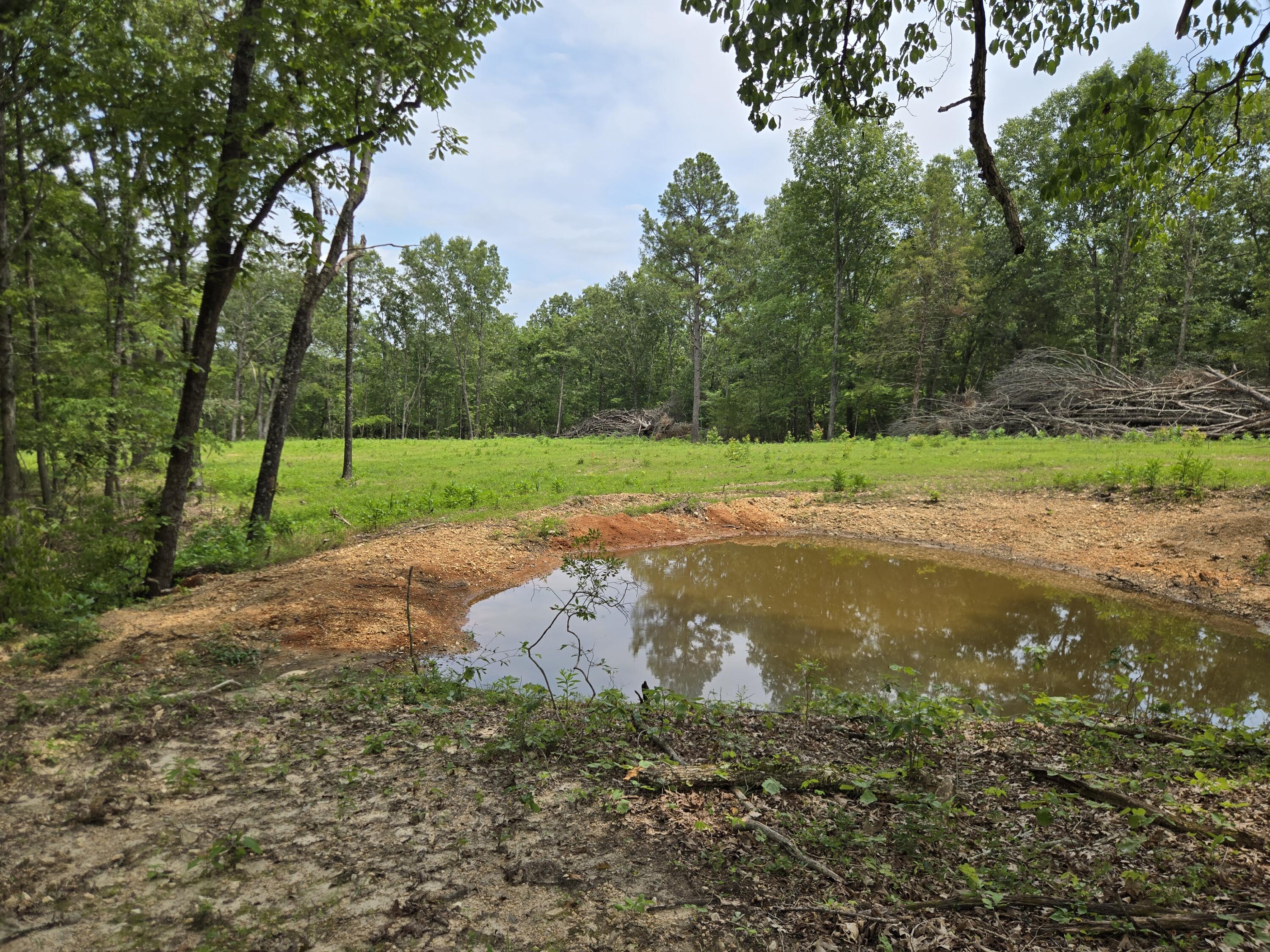 Land for sale – 000 76-126 Norwood, MO