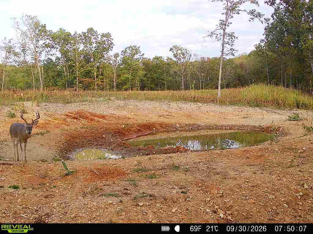 Photo 5 - Land for sale – 000  76-126   Norwood, MO