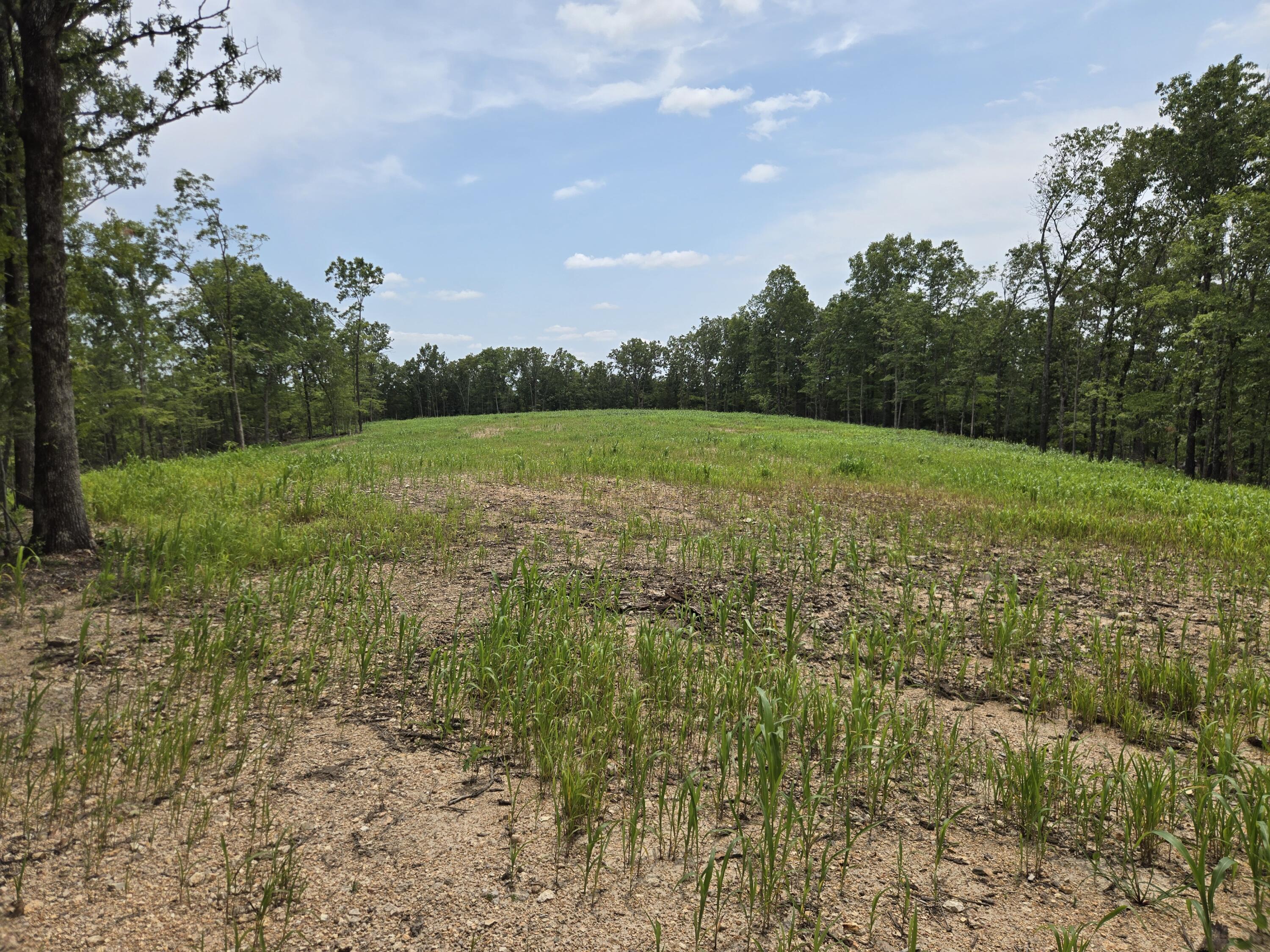 Photo 8 - Land for sale – 000  76-126   Norwood, MO