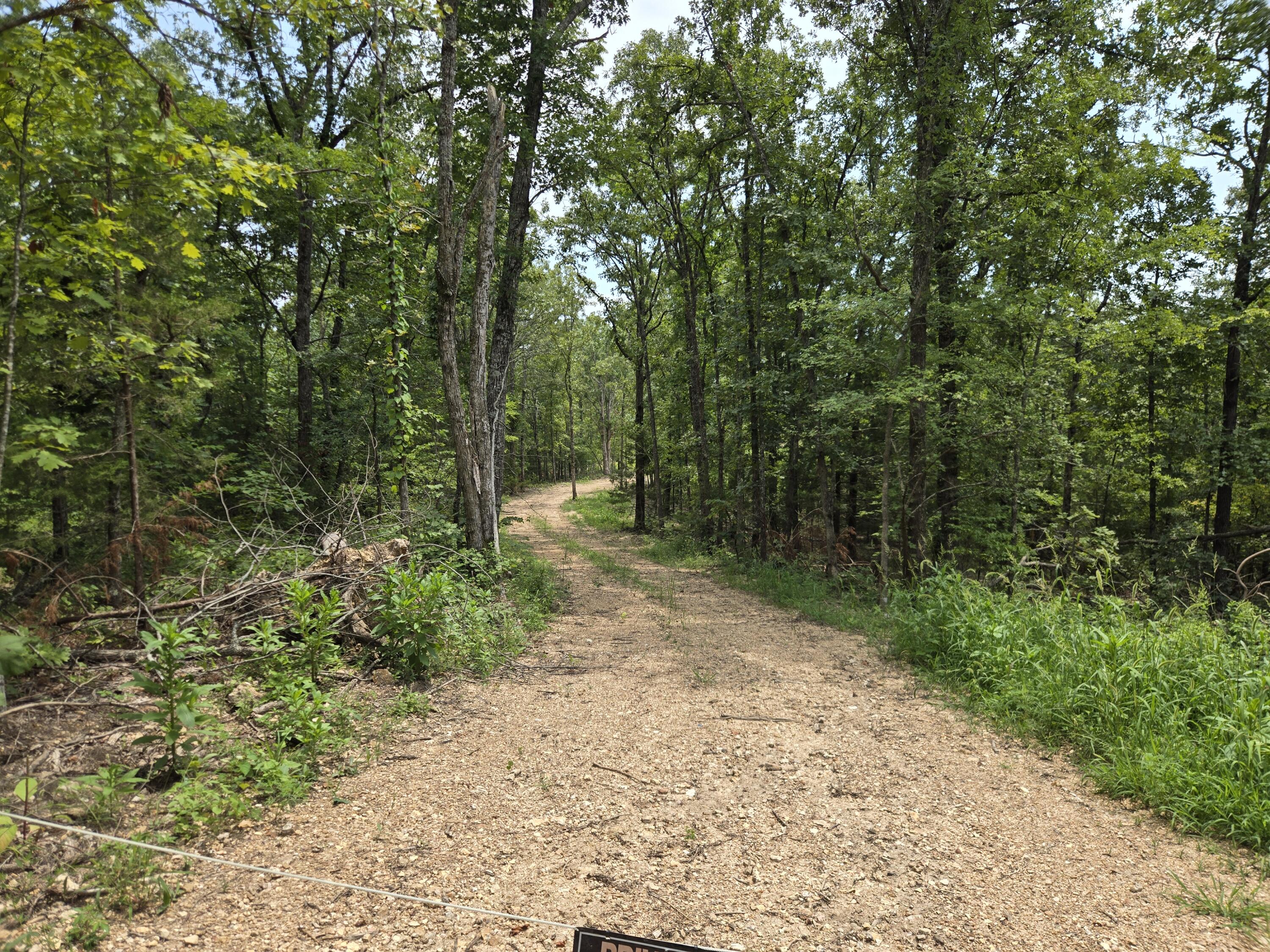 Photo 3 - Land for sale – 000  76-126   Norwood, MO