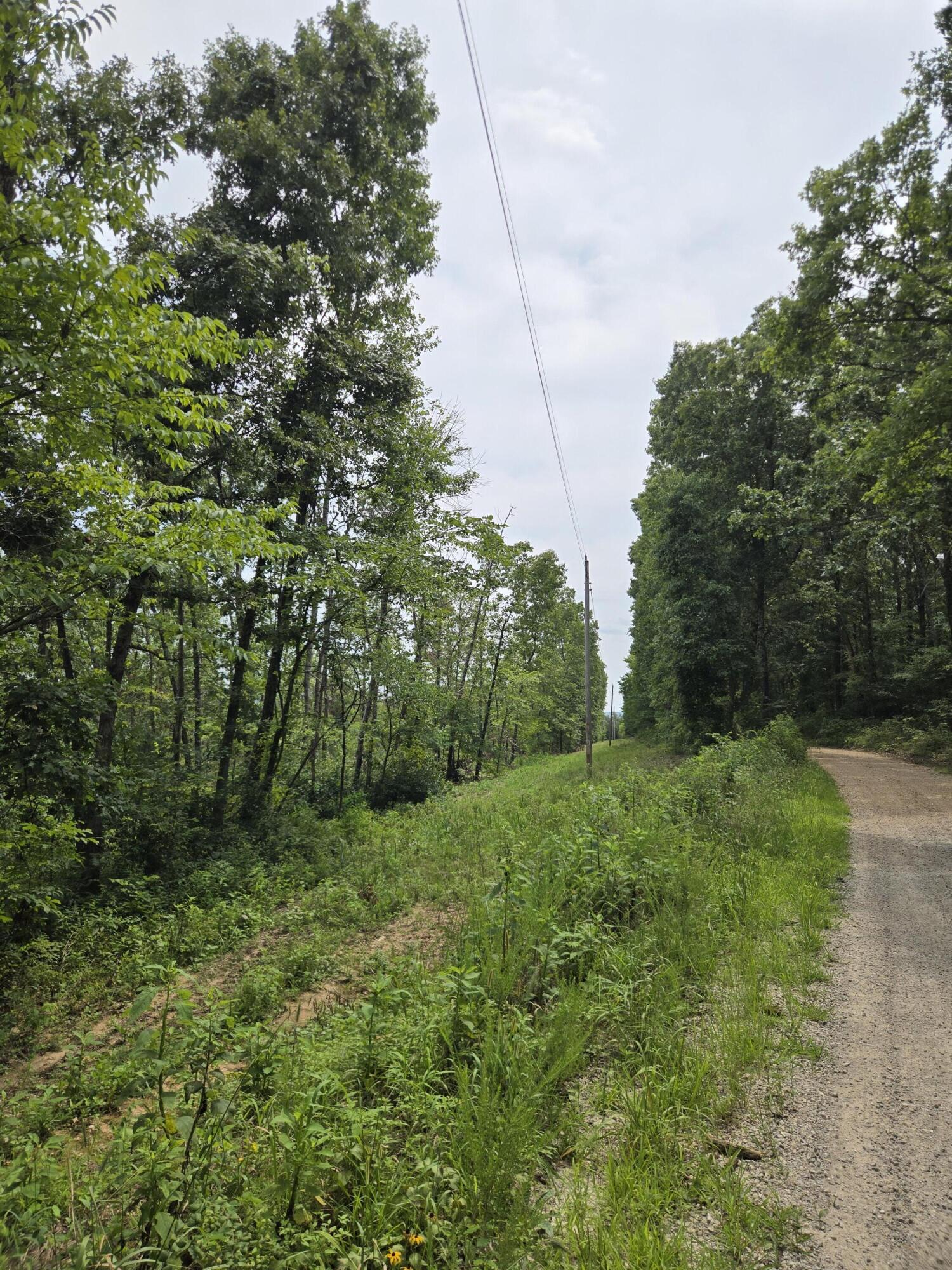 Photo 16 - Land for sale – 000  76-126   Norwood, MO