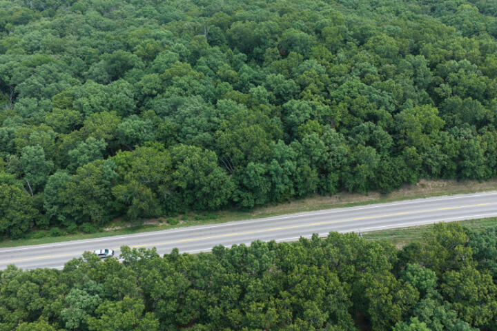 Photo 13 - Land for sale – 000  Highway 5   Gravois Mills, MO