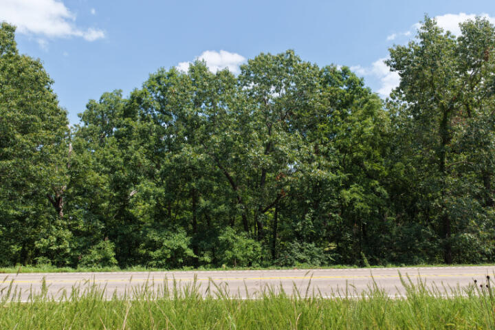 Photo 20 - Land for sale – 000  Highway 5   Gravois Mills, MO