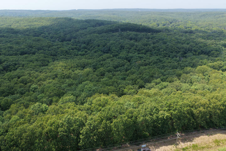 Photo 10 - Land for sale – 000  Highway 5   Gravois Mills, MO