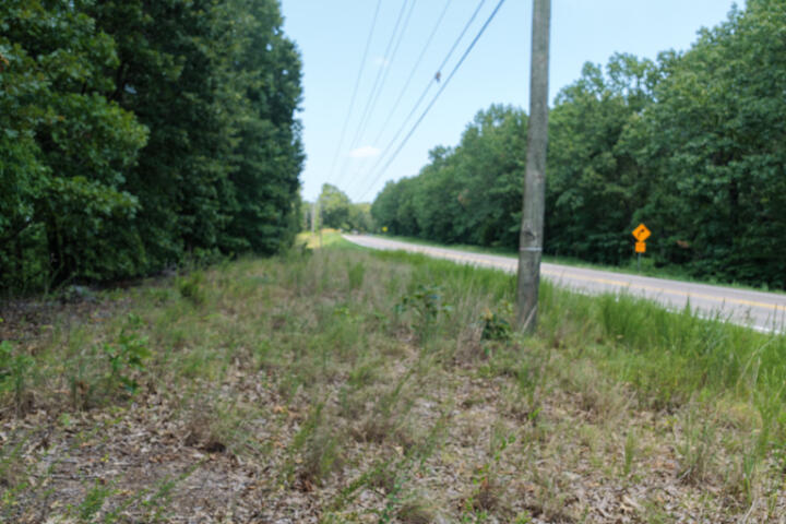 Photo 5 - Land for sale – 000  Highway 5   Gravois Mills, MO