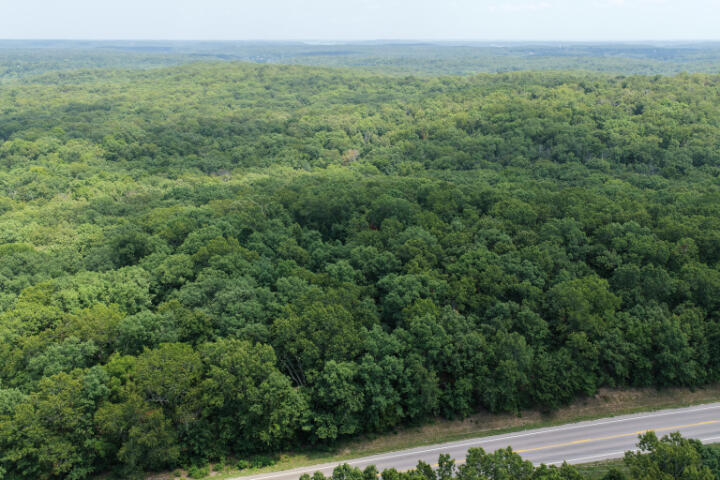 Photo 11 - Land for sale – 000  Highway 5   Gravois Mills, MO
