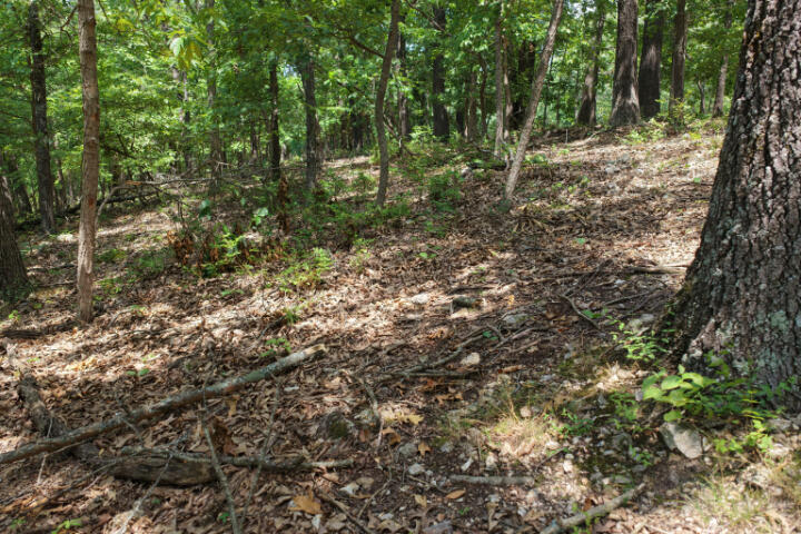 Photo 18 - Land for sale – 000  Highway 5   Gravois Mills, MO