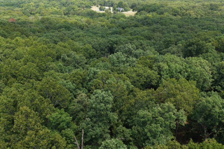 Land for sale – 000  Highway 5   Gravois Mills, MO