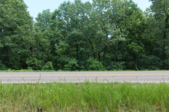 Photo 8 - Land for sale – 000  Highway 5   Gravois Mills, MO