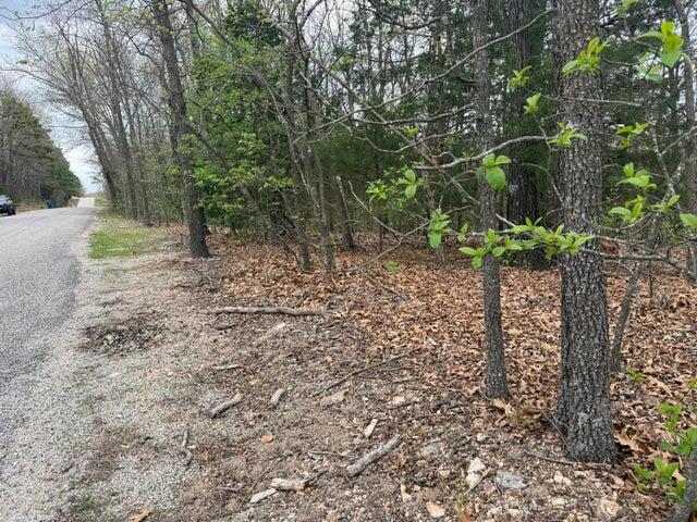Land for sale – 000  Entry Road  Ridgedale, MO