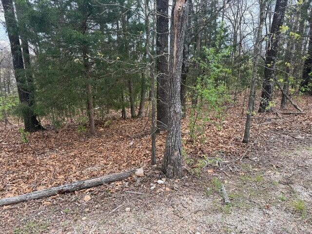 Photo 6 - Land for sale – 000  Entry Road  Ridgedale, MO