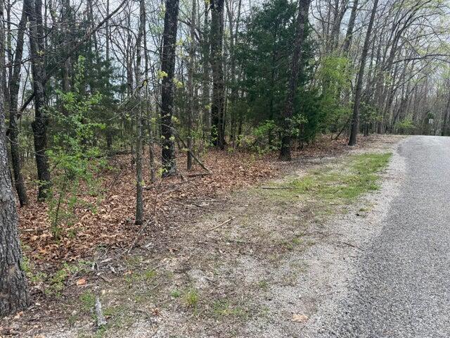 Photo 5 - Land for sale – 000  Entry Road  Ridgedale, MO