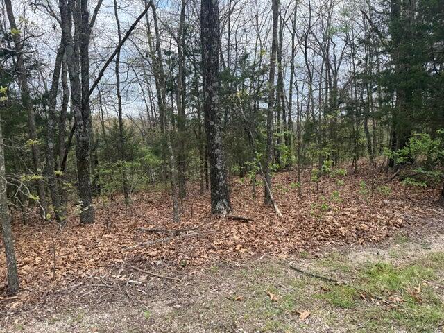 Photo 4 - Land for sale – 000  Entry Road  Ridgedale, MO