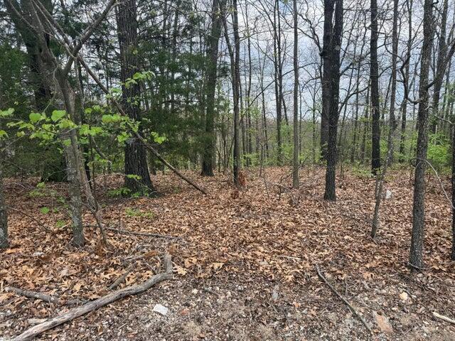 Photo 3 - Land for sale – 000  Entry Road  Ridgedale, MO