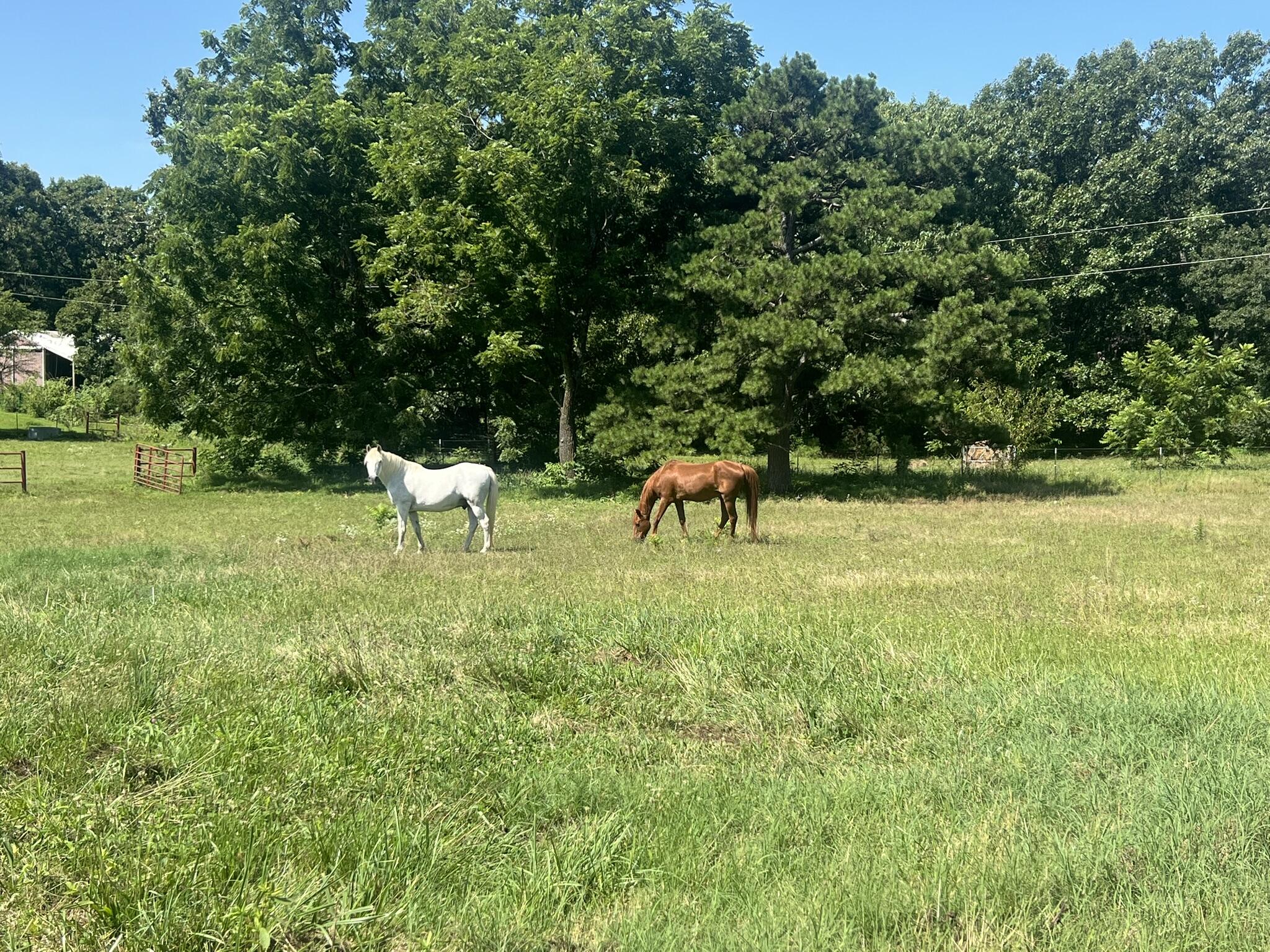 Photo 8 - Residential for sale – 5191  County Road 4650   Pomona, MO