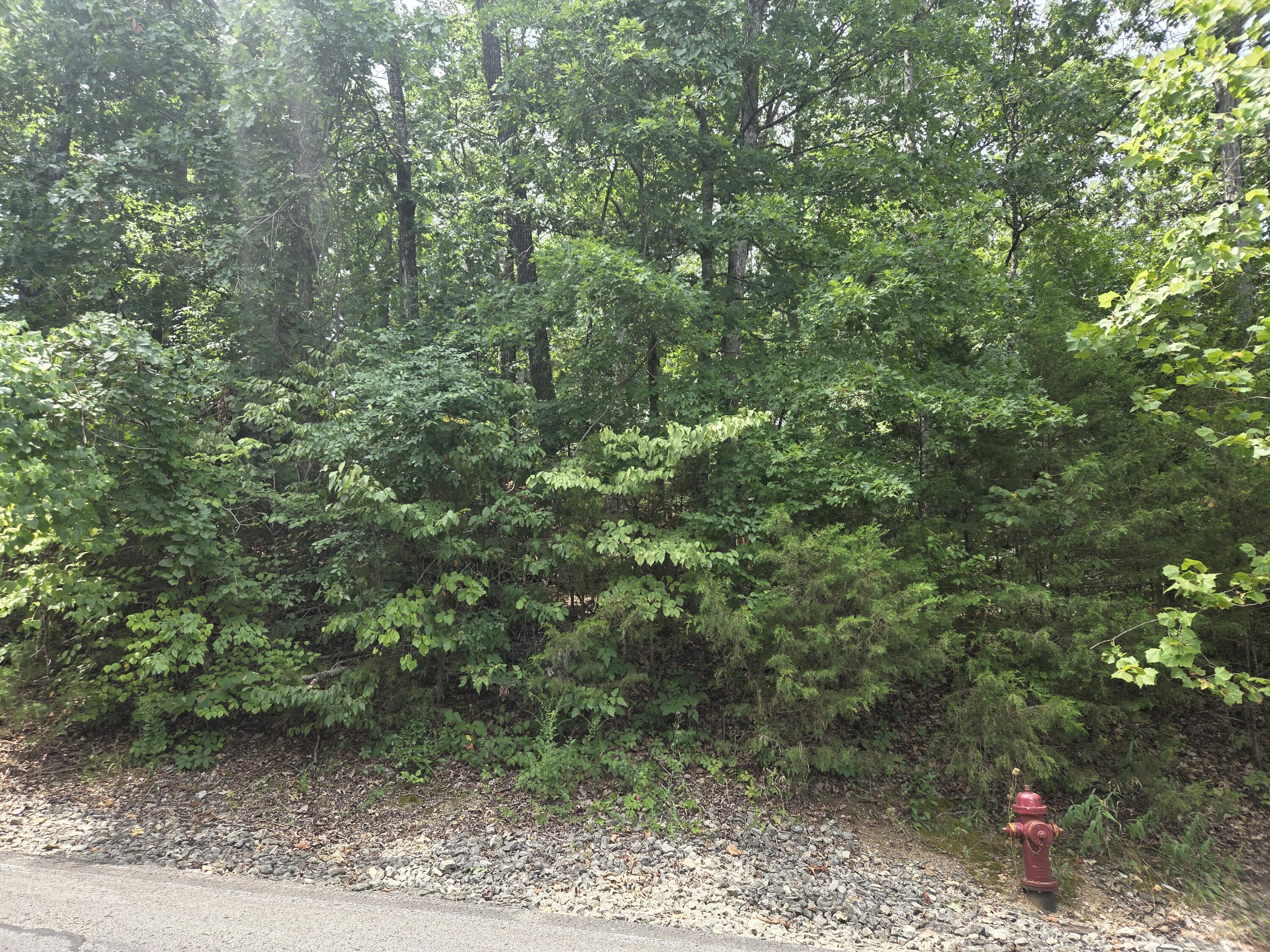 Land for sale – Lot 13  Silvercliff Way  Branson West, MO