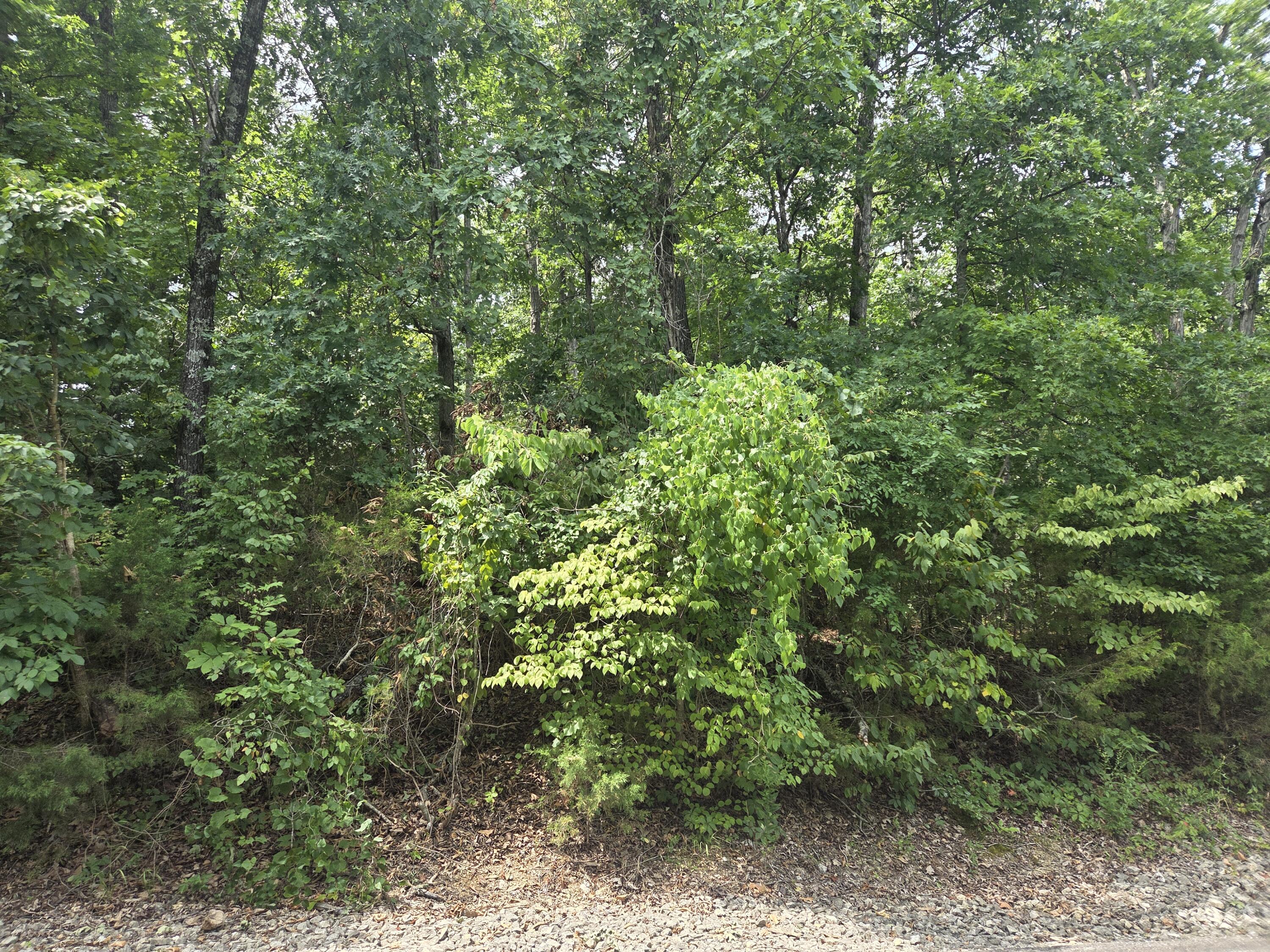 Photo 3 - Land for sale – Lot 13  Silvercliff Way  Branson West, MO