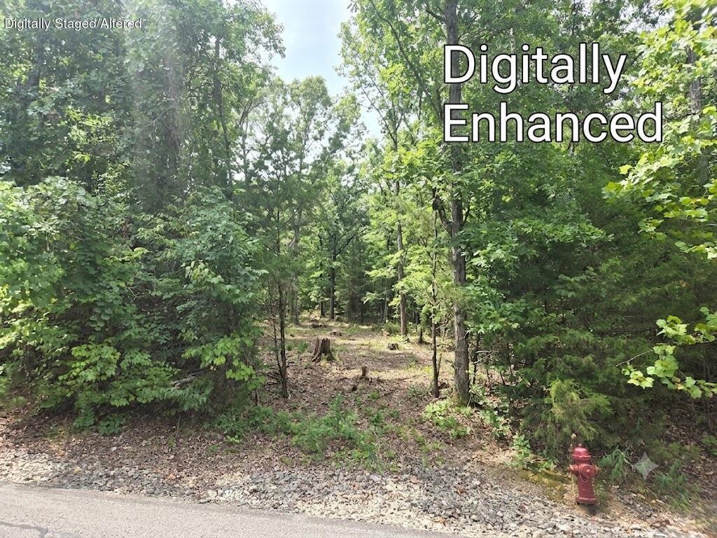 Photo 2 - Land for sale – Lot 13  Silvercliff Way  Branson West, MO