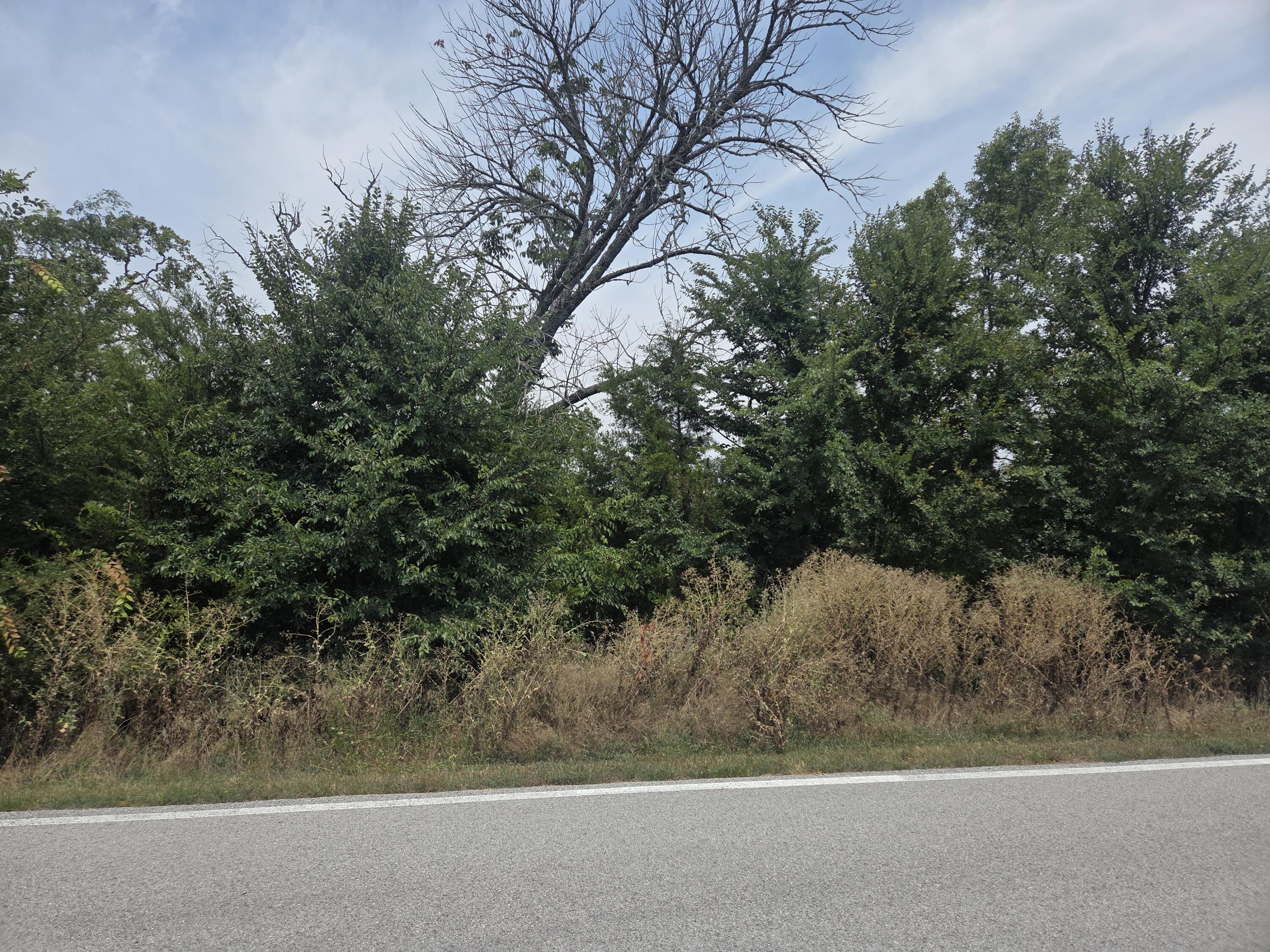 Photo 3 - Land for sale – Lot 175  Black Forest Lane  Branson West, MO