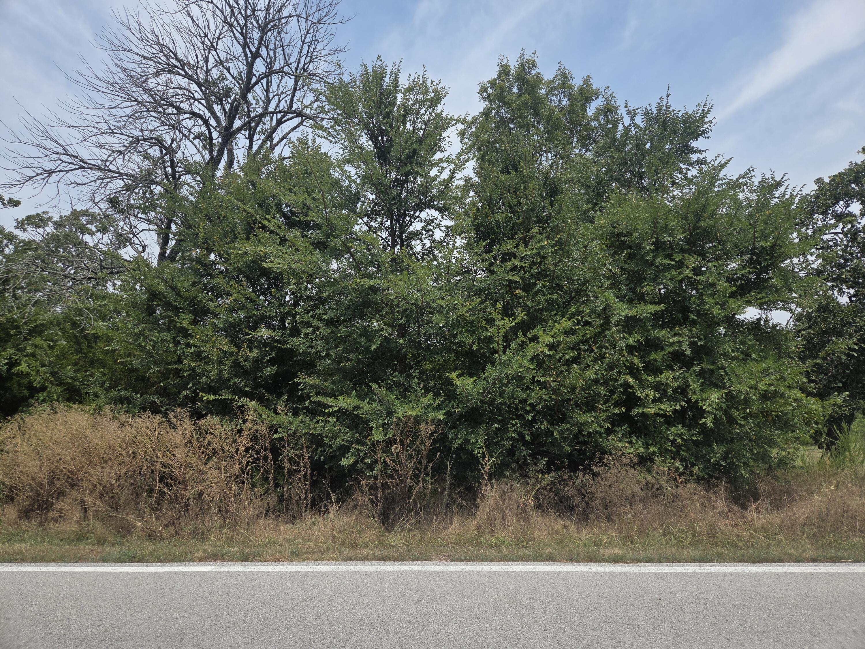 Land for sale – Lot 175 Black Forest Lane Branson West, MO