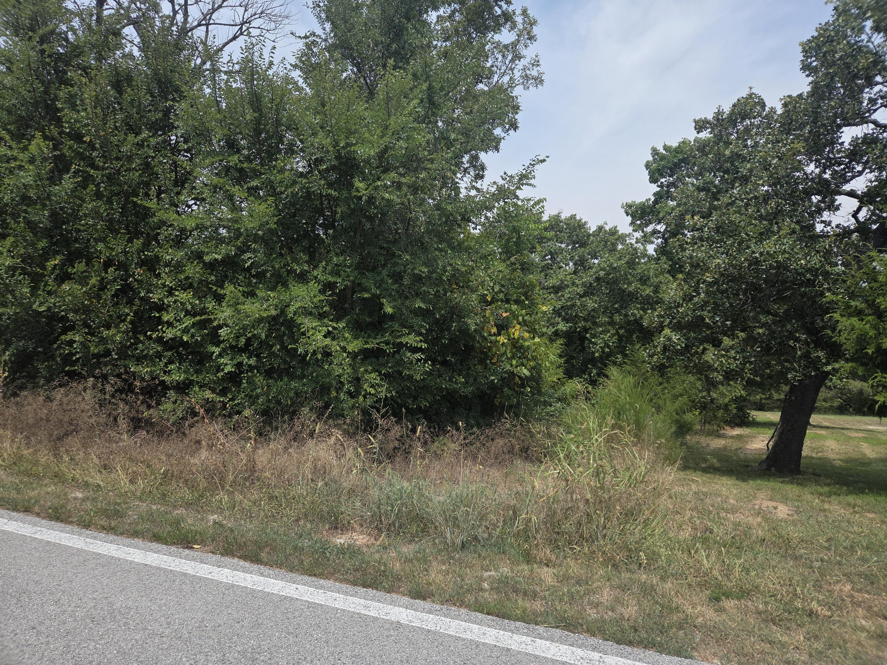 Photo 4 - Land for sale – Lot 175  Black Forest Lane  Branson West, MO