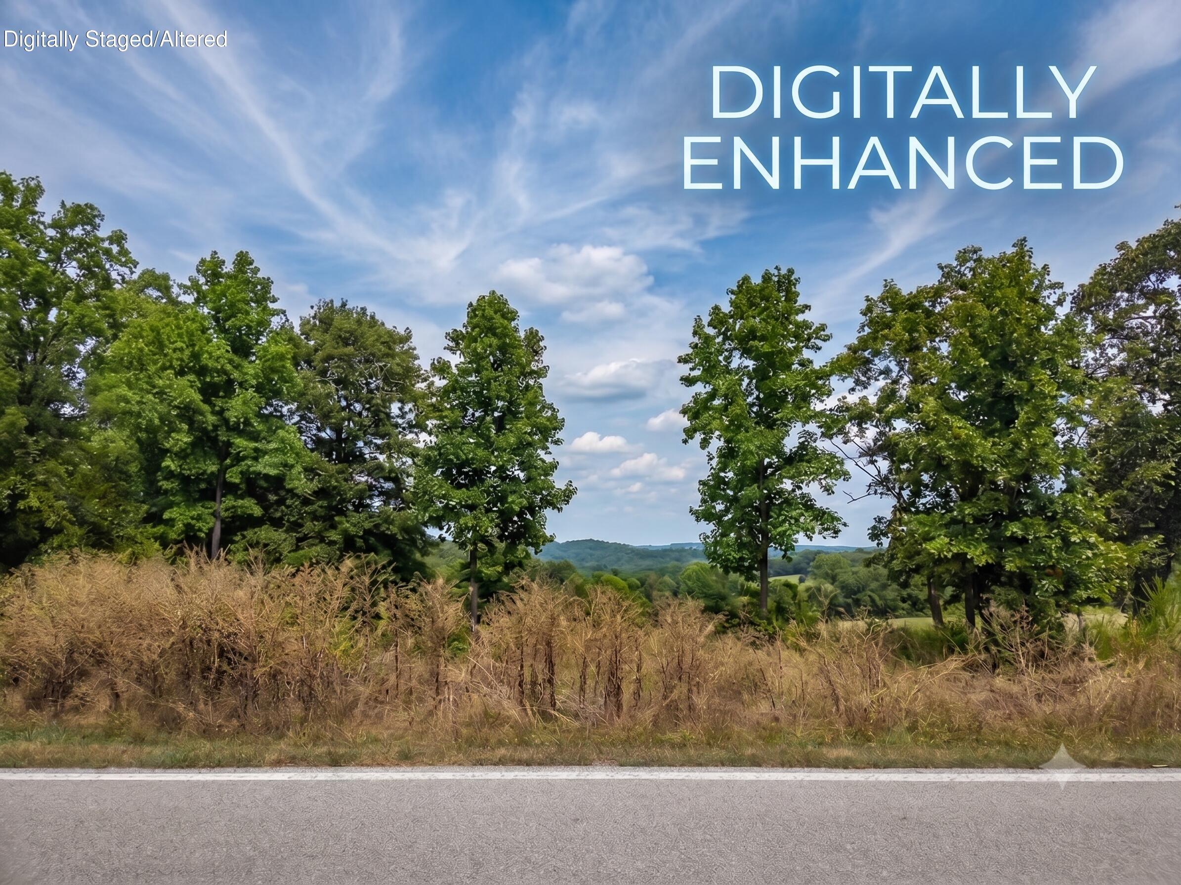 Photo 2 - Land for sale – Lot 175  Black Forest Lane  Branson West, MO