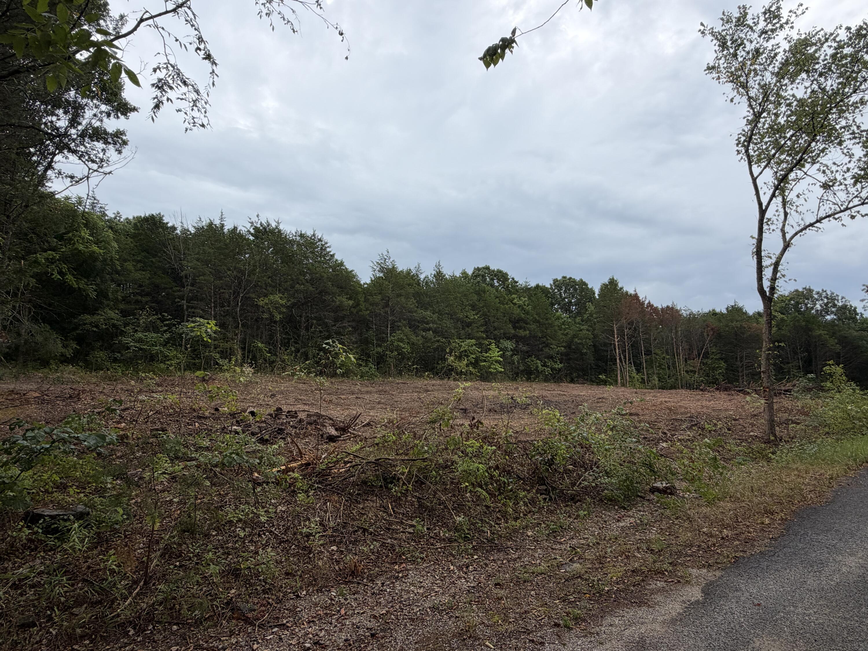 Photo 3 - Land for sale – 278 N Millwood Street  Shell Knob, MO
