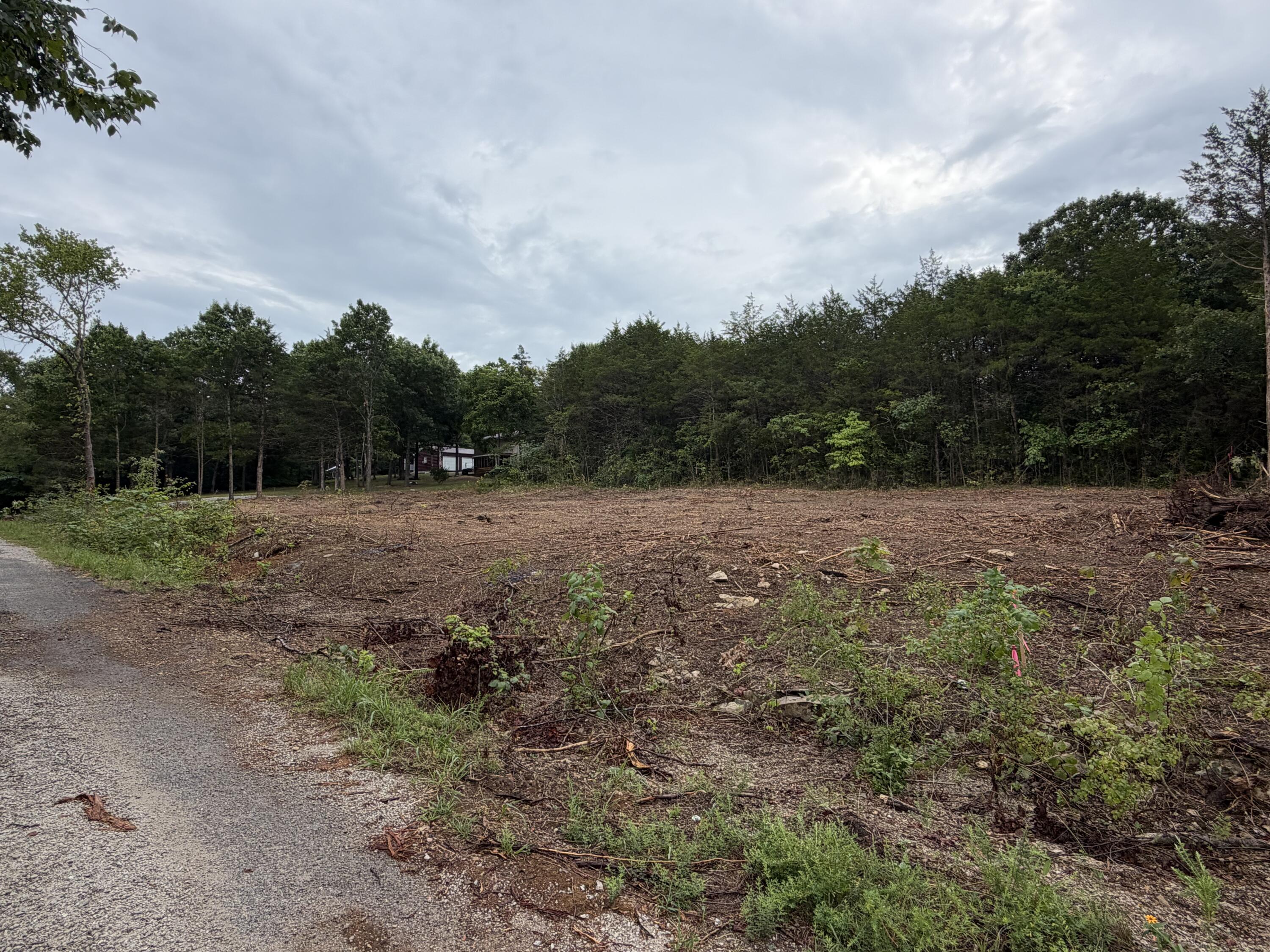 Land for sale – 278 N Millwood Street Shell Knob, MO