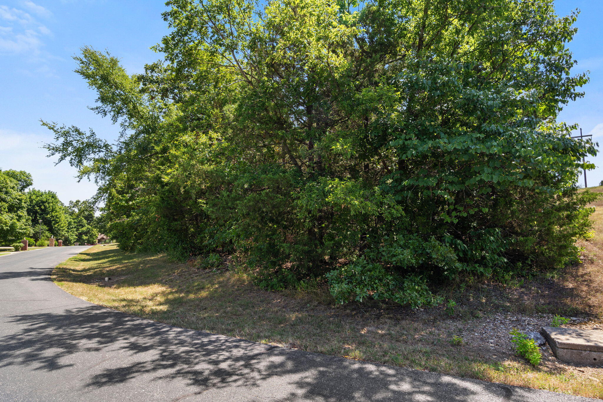 Photo 6 - Land for sale – Lot 30  Crossing Drive  Branson West, MO