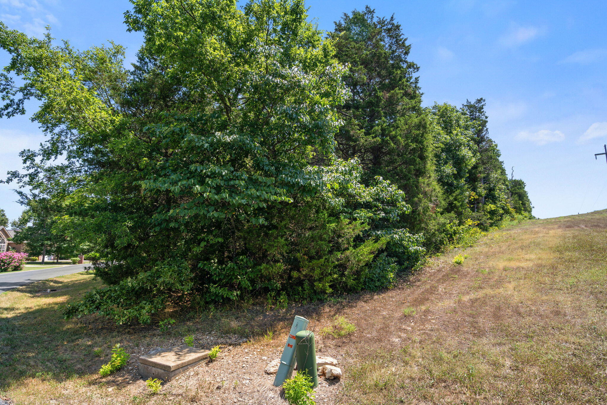 Photo 5 - Land for sale – Lot 30  Crossing Drive  Branson West, MO