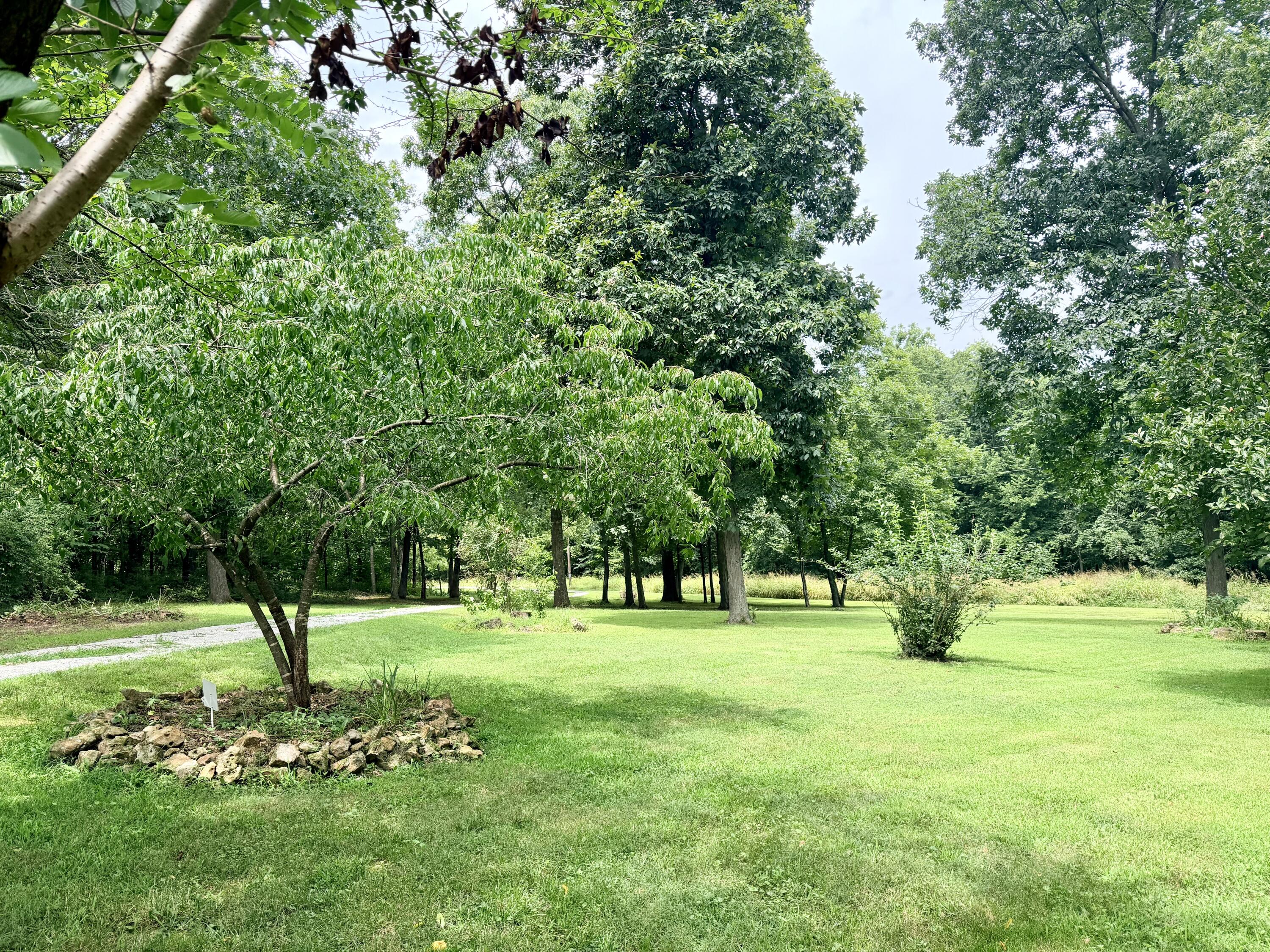 Photo 49 - Residential for sale – 34 E Dade 86   Greenfield, MO