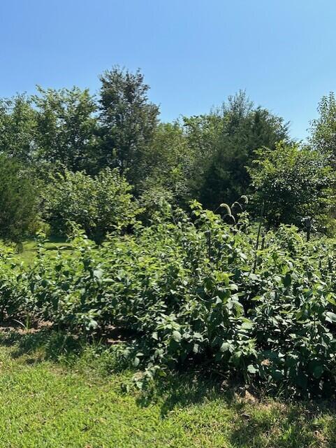 Photo 32 - Residential for sale – 12282 N State Highway H   Pleasant Hope, MO