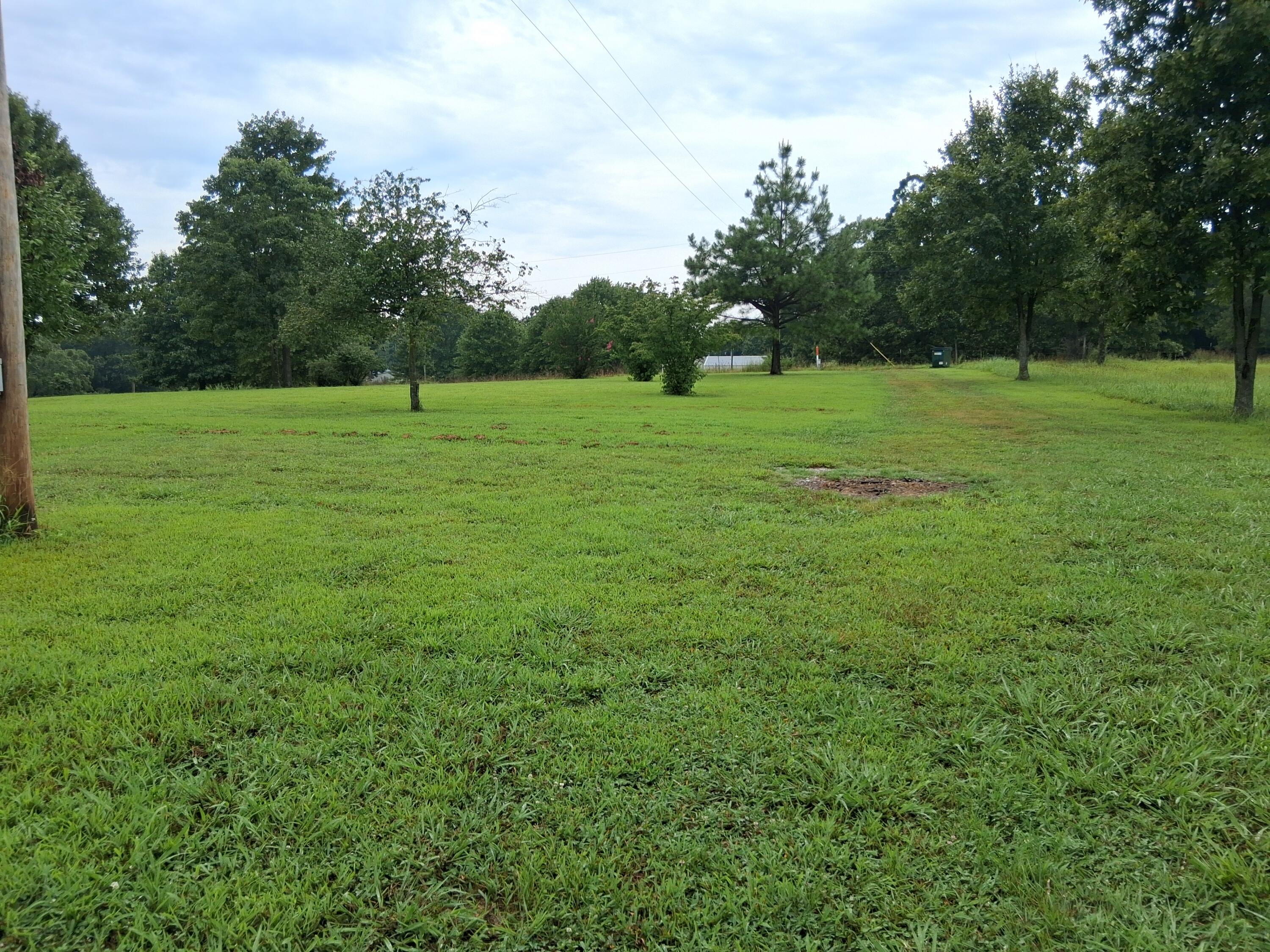 Photo 6 - Residential for sale – 10122  Private Road 6801   West Plains, MO