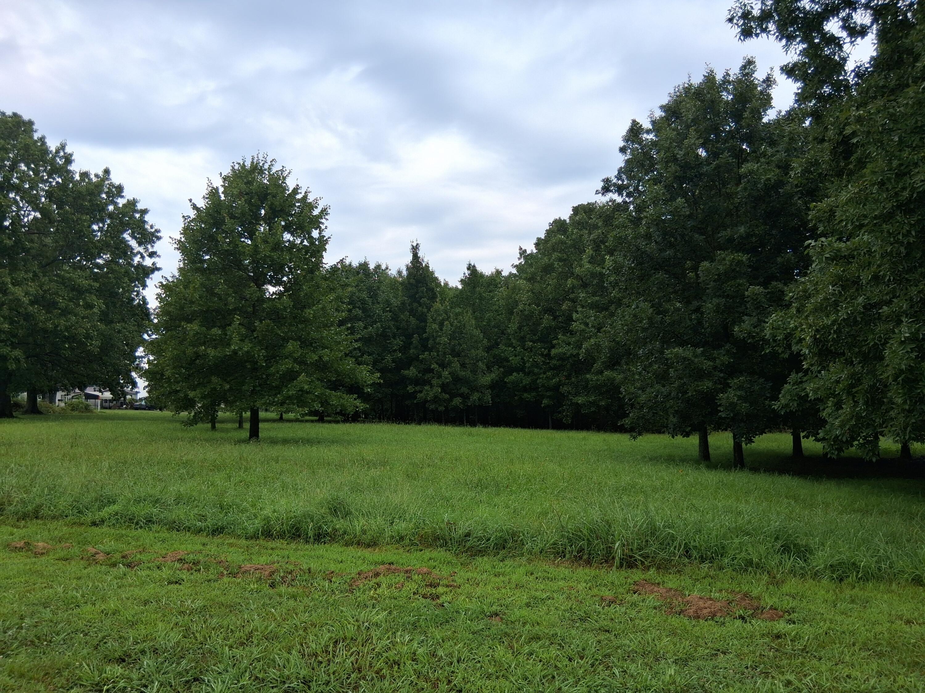 Photo 8 - Residential for sale – 10122  Private Road 6801   West Plains, MO