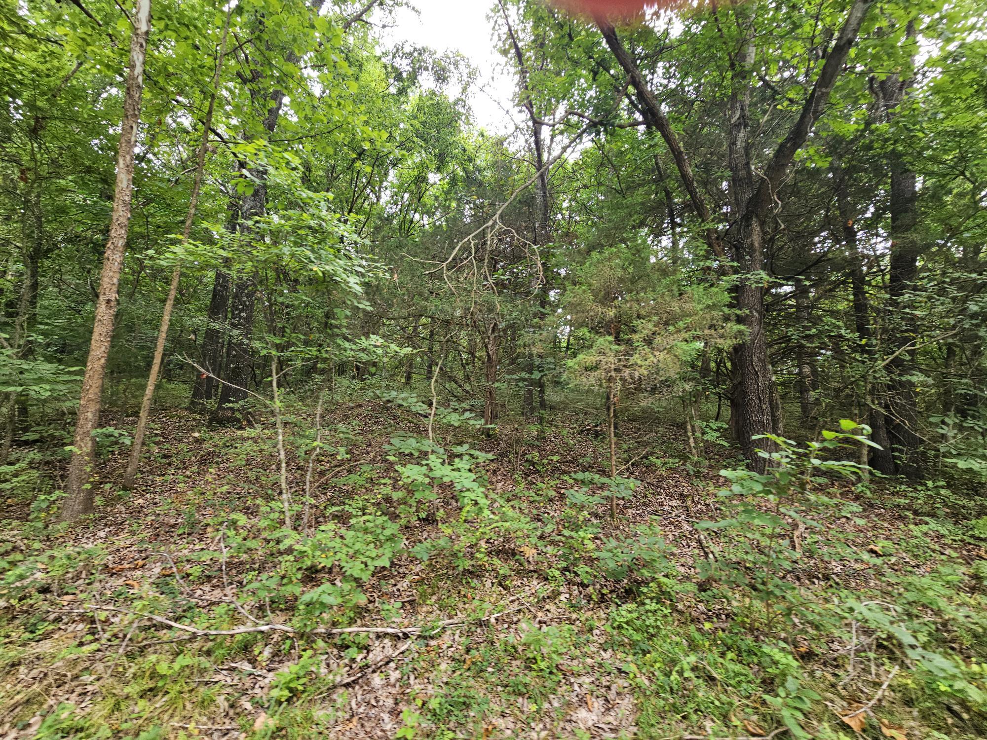 Photo 6 - Land for sale – 000-18 Ac  Westview Road  Neosho, MO