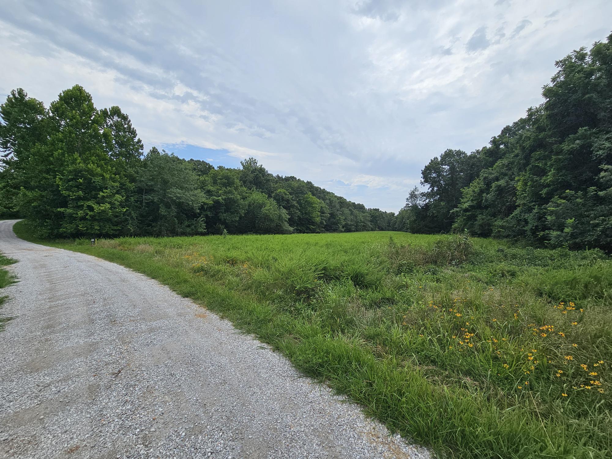Photo 12 - Land for sale – 000-18 Ac  Westview Road  Neosho, MO