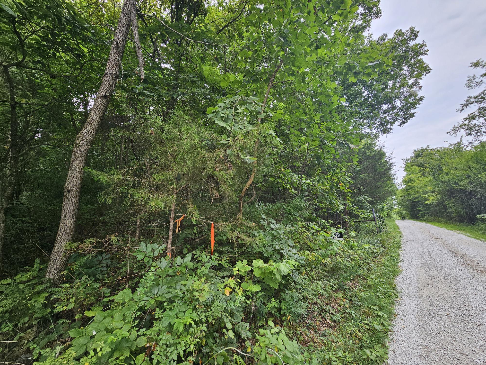 Photo 2 - Land for sale – 000-18 Ac  Westview Road  Neosho, MO