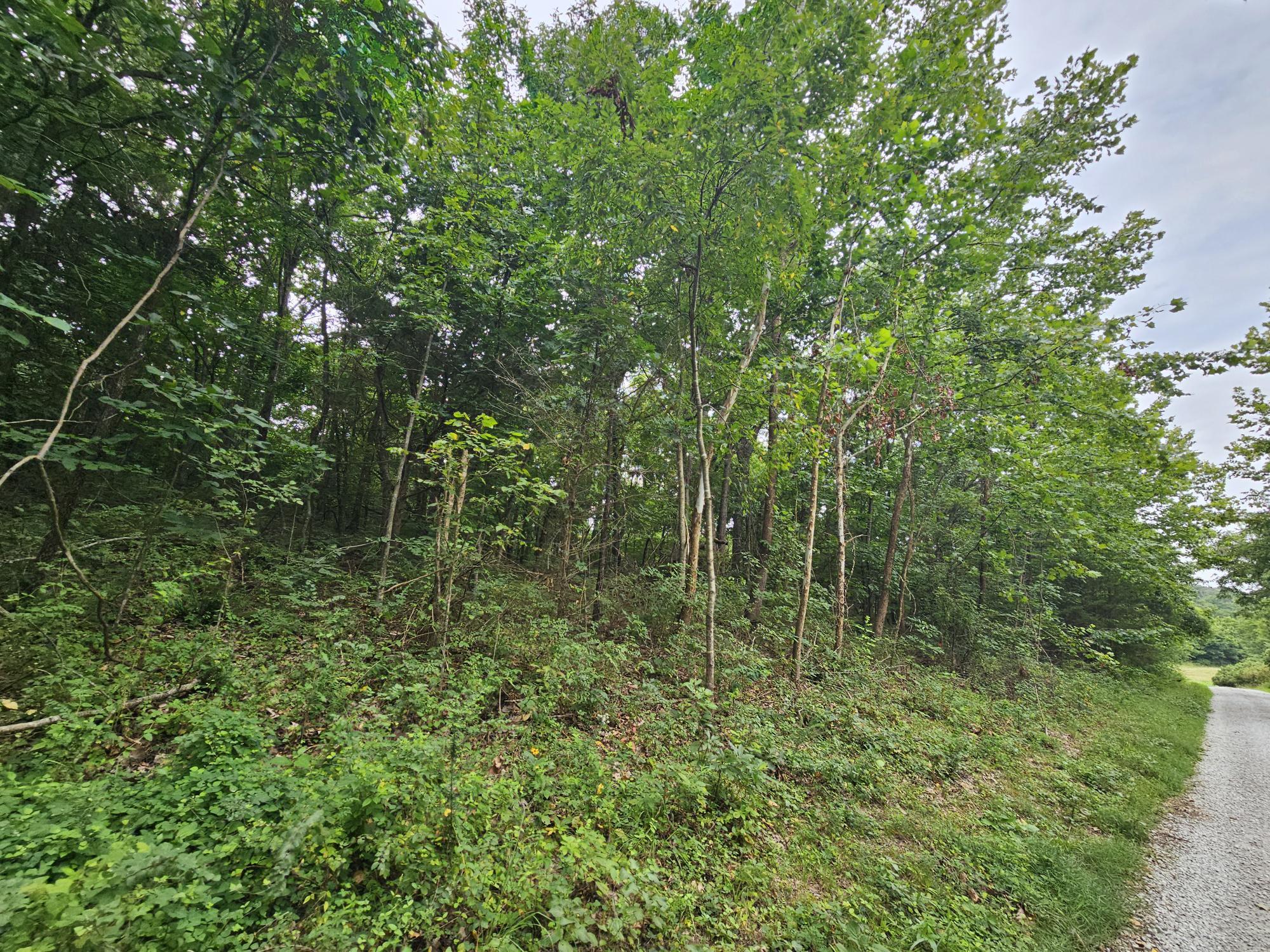 Photo 7 - Land for sale – 000-18 Ac  Westview Road  Neosho, MO