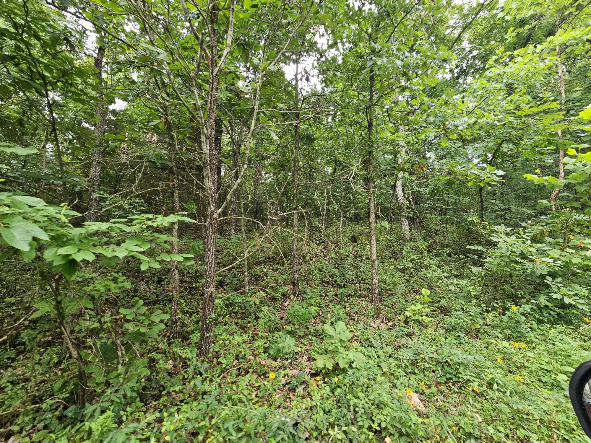 Photo 11 - Land for sale – 000-18 Ac  Westview Road  Neosho, MO