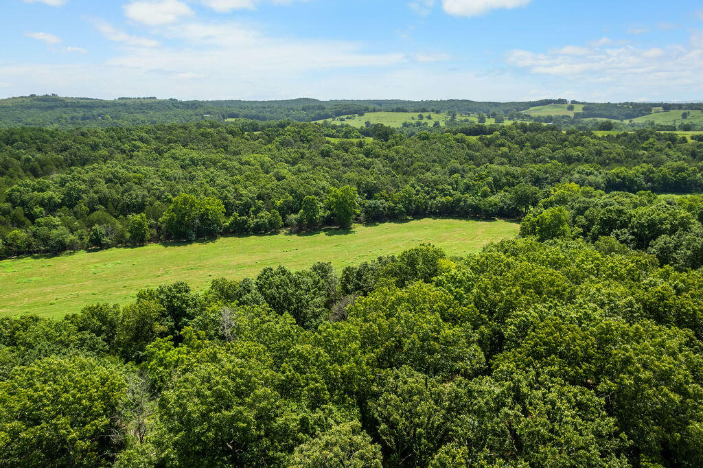 Photo 18 - Land for sale – 000  County Road 931   Thornfield, MO