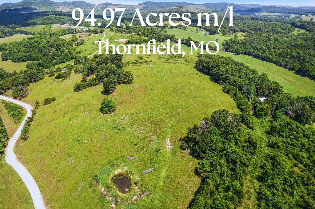 Land for sale – 000  County Road 931   Thornfield, MO
