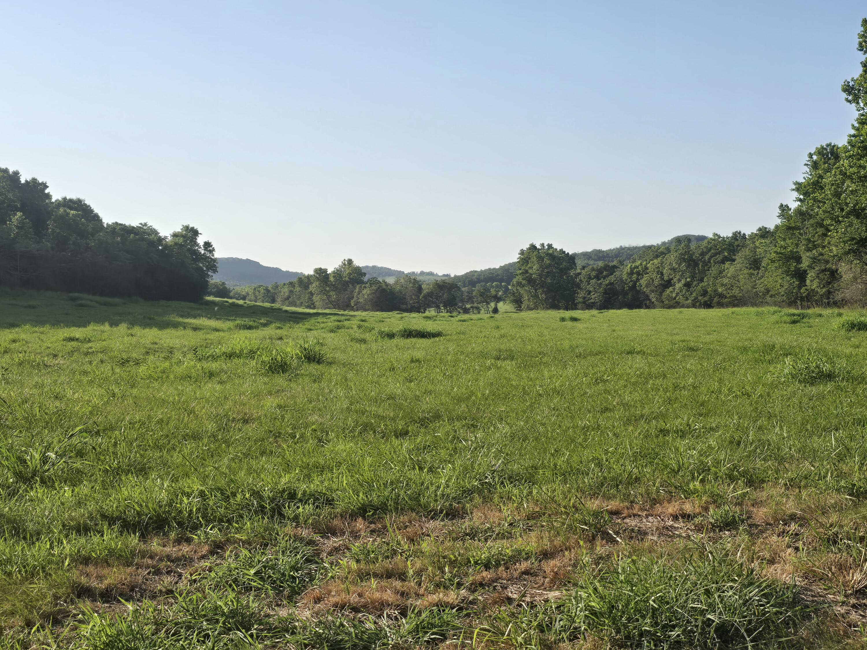 Photo 13 - Land for sale – 000  County Road 931   Thornfield, MO