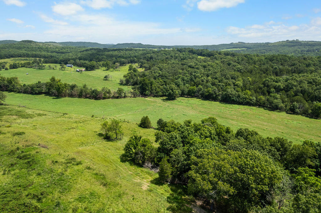 Photo 17 - Land for sale – 000  County Road 931   Thornfield, MO